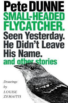 Small-headed Flycatcher. Seen Yesterday. He Didn't Leave His Name.(English, Paperback, Dunne Pete)