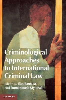 Criminological Approaches to International Criminal Law(English, Paperback, unknown)