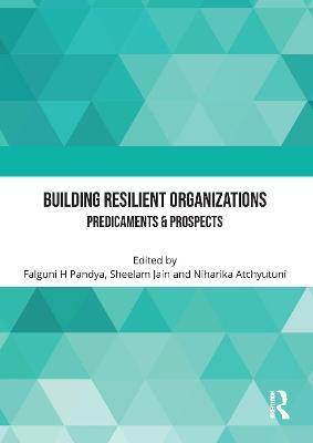 Building Resilient Organizations(English, Paperback, unknown)