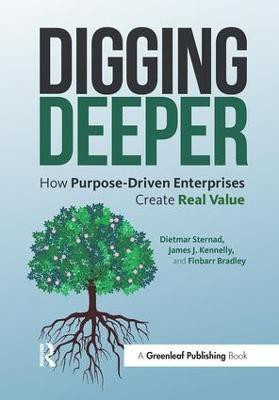 Digging Deeper(English, Paperback, Sternad Dietmar)