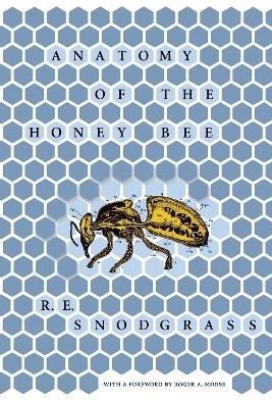 Anatomy of the Honey Bee(English, Electronic book text, Snodgrass R. E.)