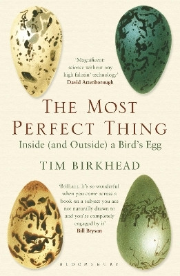 The Most Perfect Thing(English, Paperback, Birkhead Tim)