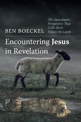 Encountering Jesus in Revelation(English, Paperback, Boeckel Ben)