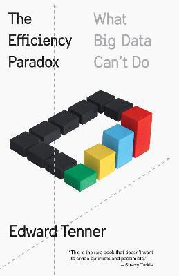 The Efficiency Paradox(English, Paperback, Tenner Edward)