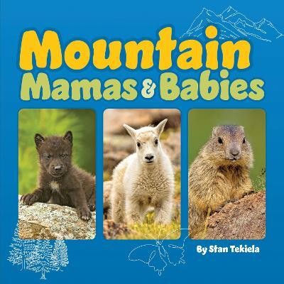 Mountain Mamas and Babies(English, Board book, Tekiela Stan)