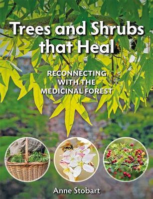 Trees and Shrubs that Heal(English, Paperback, Stobart Anne)