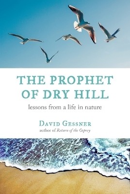 The Prophet of Dry Hill(English, Paperback, Gessner David)