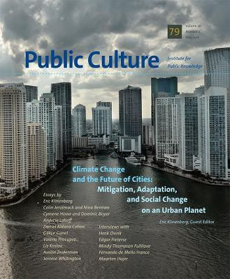 Climate Change and the Future of Cities(English, Paperback, unknown)