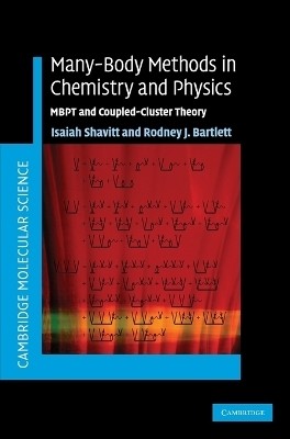 Many-Body Methods in Chemistry and Physics(English, Hardcover, Shavitt Isaiah)