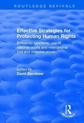 Effective Strategies for Protecting Human Rights(English, Paperback, unknown)