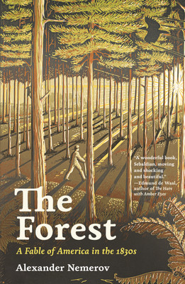 The Forest(English, Hardcover, Nemerov Alexander)