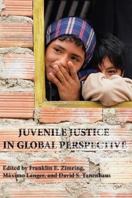 Juvenile Justice in Global Perspective(English, Paperback, unknown)