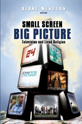 Small Screen, Big Picture(English, Hardcover, unknown)