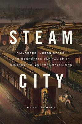 Steam City(English, Hardcover, Schley David)