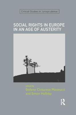SOCIAL RIGHTS IN EUROPE IN AN AGE OF AUSTERITY(English, Paperback, unknown)