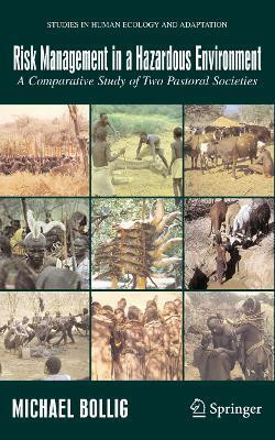 Risk Management in a Hazardous Environment(English, Paperback, Bollig Michael)
