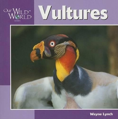 Vultures(English, Paperback, Lynch Wayne)