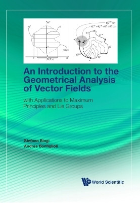 Introduction To The Geometrical Analysis Of Vector Fields, An: With Applications To Maximum Principles And Lie Groups(English, Hardcover, Biagi Stefano)