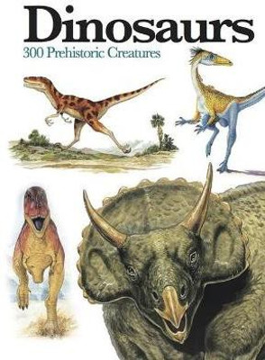 Dinosaurs(English, Paperback, McCall Gerrie)