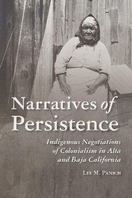 Narratives of Persistence(English, Paperback, Panich Lee)