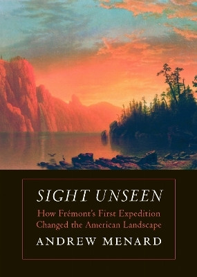 Sight Unseen(English, Paperback, Menard Andrew)