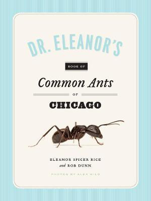 Dr. Eleanor's Book of Common Ants of Chicago(English, Paperback, Spicer Rice Eleanor)