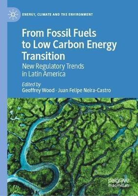 From Fossil Fuels to Low Carbon Energy Transition(English, Hardcover, unknown)