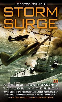 Storm Surge(English, Paperback, Anderson Taylor)