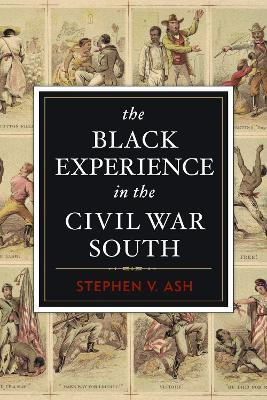 The Black Experience in the Civil War South(English, Paperback, Ash Stephen V)