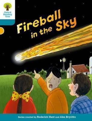 Oxford Reading Tree Biff, Chip and Kipper Stories Decode and Develop: Level 9: Fireball in the Sky(English, Paperback, Hunt Roderick)