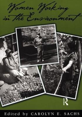 Women Working In The Environment(English, Paperback, Sachs Carolyn E.)