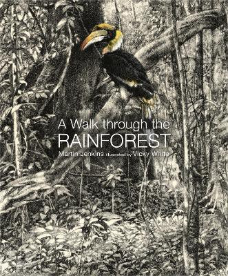 A Walk Through the Rain Forest(English, Hardcover, Jenkins Martin)