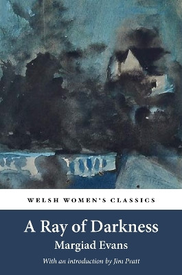 A Ray Of Darkness(English, Paperback, Evans Margiad)