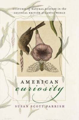 American Curiosity(English, Paperback, Parrish Susan Scott)