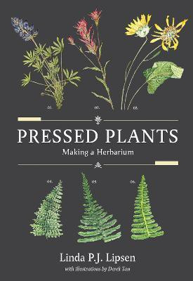 Pressed Plants(English, Paperback, Lipsen Linda P.J. MS)
