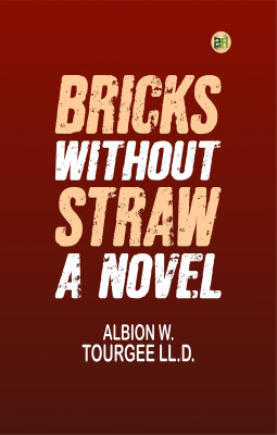Bricks Without Straw: A Novel(Paperback, ALBION W. TOURGEE LL.D.)