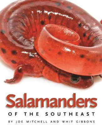 Salamanders of the Southeast(English, Paperback, Mitchell Joe)