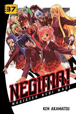 Negima! 37(English, Paperback, Akamatsu Ken)