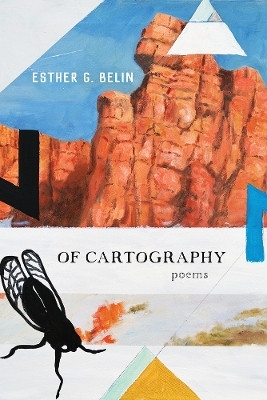 Of Cartography(English, Paperback, Belin Esther G.)