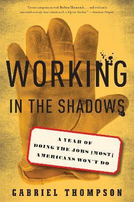 Working in the Shadows(English, Paperback, Thompson Gabriel)