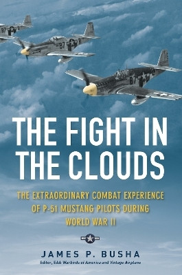 The Fight in the Clouds(English, Electronic book text, Busha James P.)