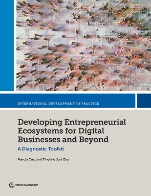 Developing Entrepreneurial Ecosystems for Digital Businesses and Beyond(English, Paperback, Cruz Marcio)