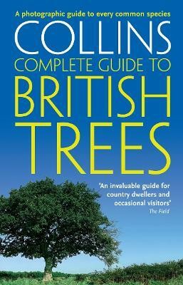 British Trees(English, Paperback, Sterry Paul)