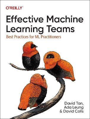 Effective Machine Learning Teams(English, Paperback, Tan David)
