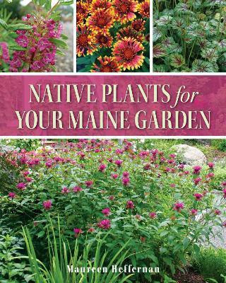 Native Plants for Your Maine Garden(English, Paperback, Heffernan Maureen)