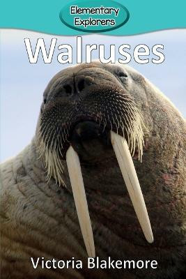 Walruses(English, Paperback, Blakemore Victoria)