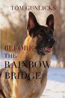 Before the Rainbow Bridge(English, Paperback, Gunlicks Tom)