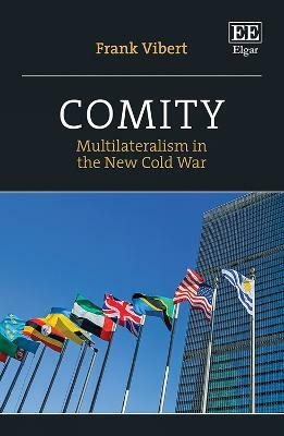 Comity(English, Hardcover, Vibert Frank)