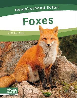 Foxes(English, Paperback, Rains Dalton)
