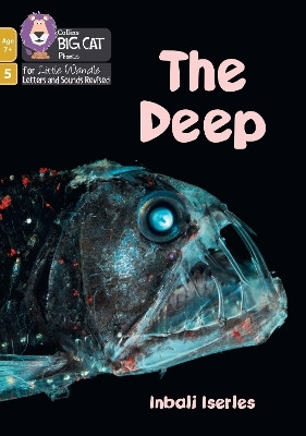The Deep(English, Paperback, Iserles Inbali)